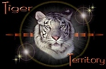 Tiger Territory -- the most comprehensive tiger site available today.